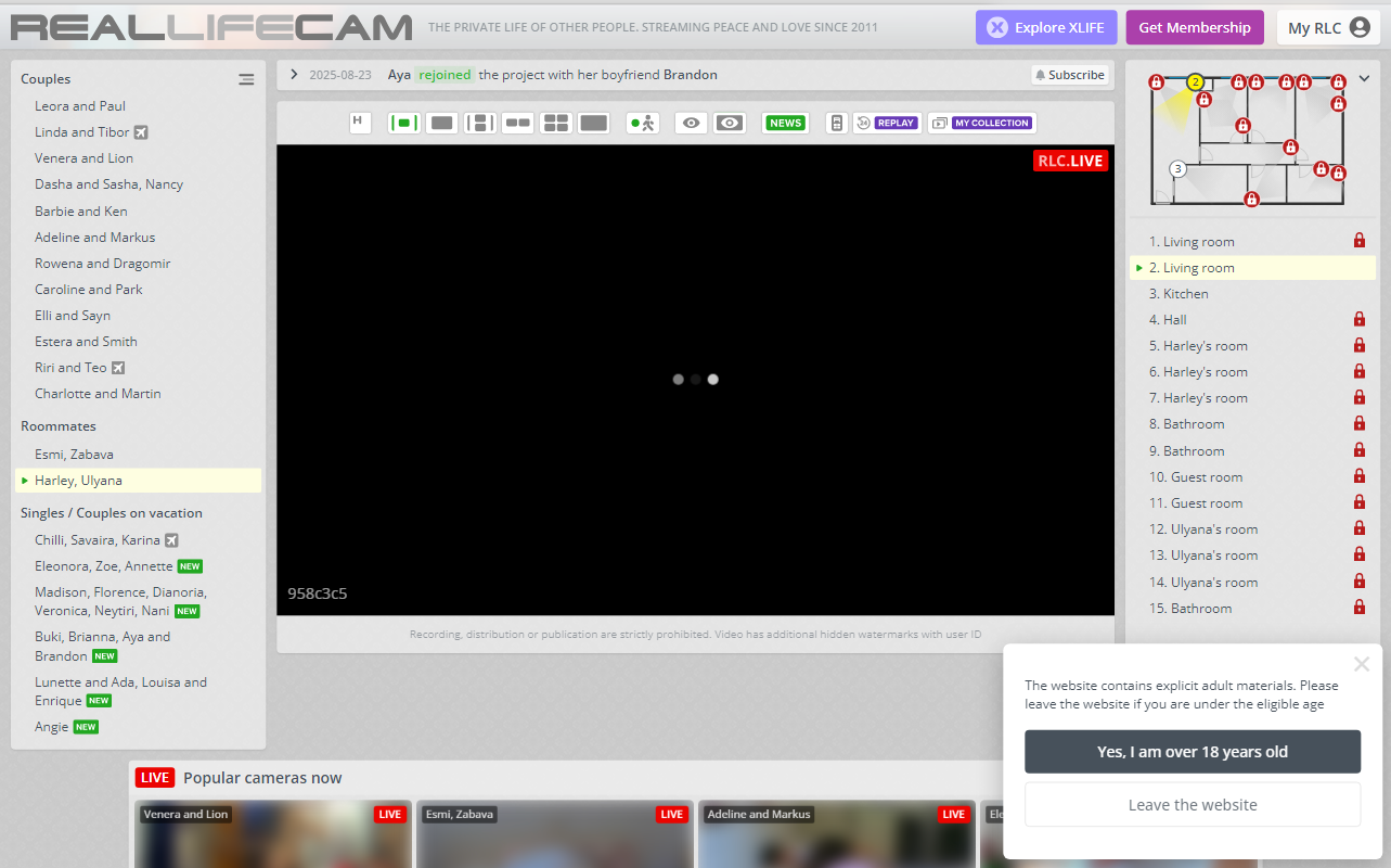 RealLifeCam