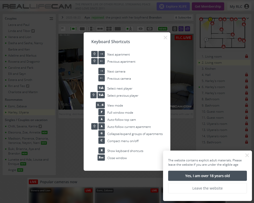RealLifeCam